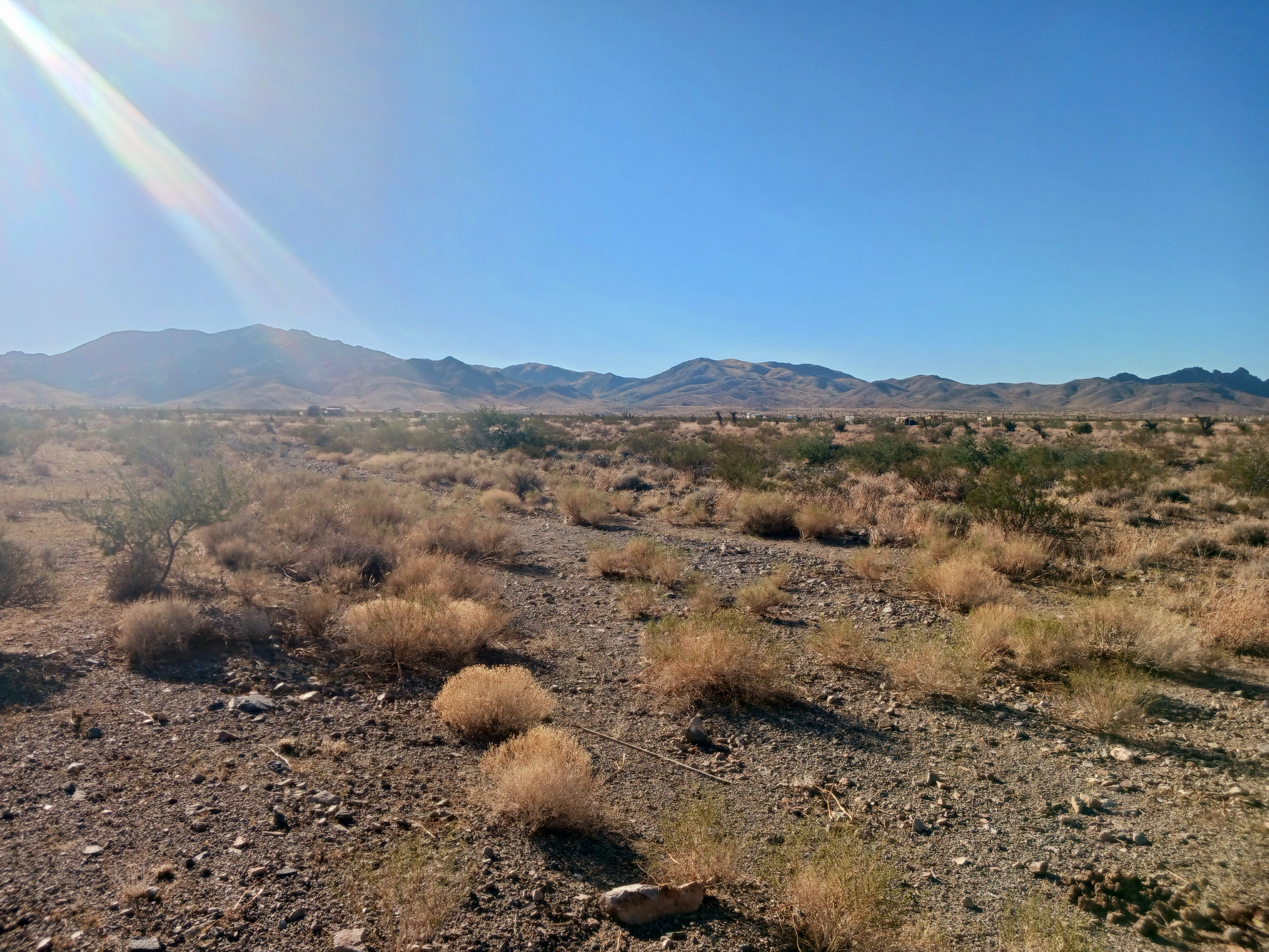 The Land